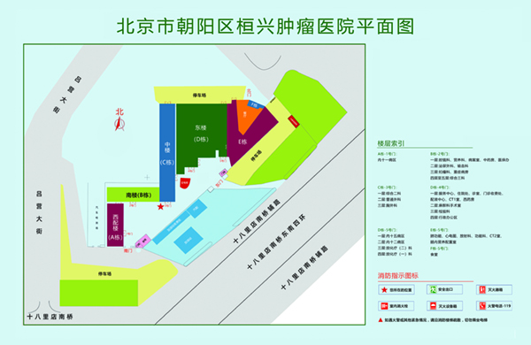 猛操狂日北京市朝阳区桓兴肿瘤医院平面图